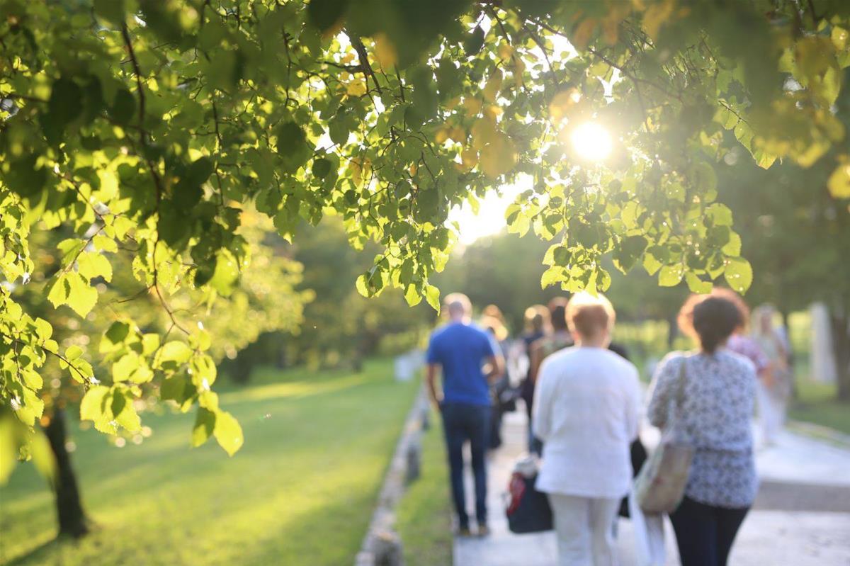 Najavljena besplatna interpretativna šetnja i upoznavanje sa umjetnicima u Parku skulptura Dubrova